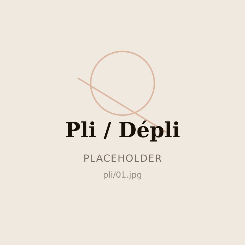 Pli / Dépli — 1